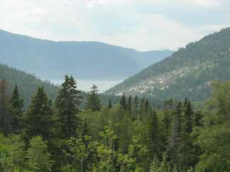 tadoussac 036.jpg